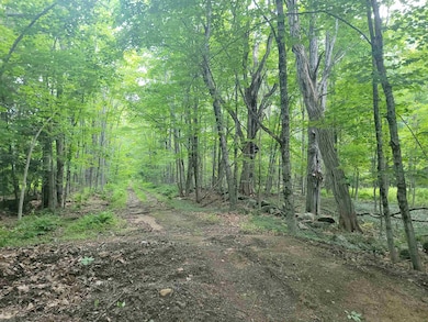 00000 Severance Rd, Laconia, NH 03246 - photo 6