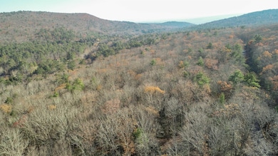 TBD Bennett Rd, Wawarsing, NY 12458 - photo 7