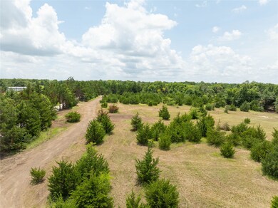 TBD Tract 4 County Road 2997, Honey Grove, TX 75446 - photo 4