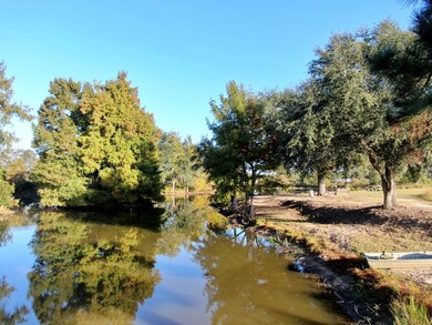 261 N County Line Rd, Sylvester, GA 31791 - photo 7