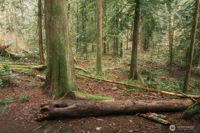 0 Princeton Ct, Bellingham, WA 98229 - photo 5