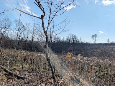 0 Nc 2900 unit 1329337, Marble Falls, AR 72648 - photo 5