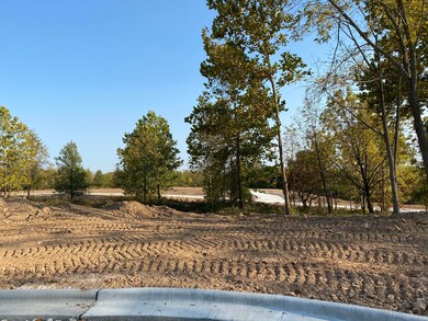 L56 Ph2 Irish Hills Estates, Nixa, MO 65714 - photo 3