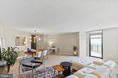 The Ridgely Condominiums, Towson, MD 21286 - photo 6