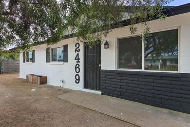 2469 W Cactus Wren St-6