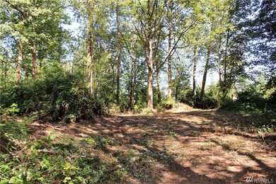 108TH 108th Ave E, Graham, WA 98338 - photo 4