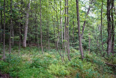Lot 130 Laurel Loop, Bruceton Mills, WV 26525 - photo 7