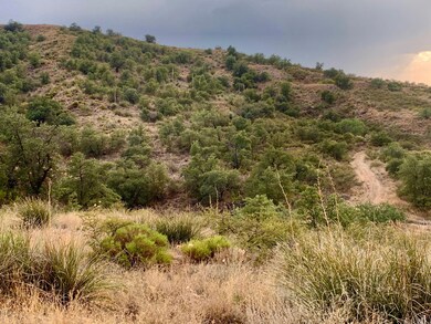 0 W Neal St unit 22523054, Oracle, AZ 85623 - photo 4