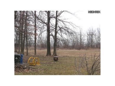 SIDE YARD