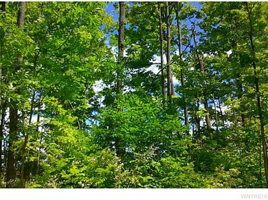 9789 Dow Rd, Freedom, NY 14065 - photo 5