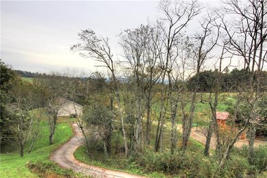 18 Old Chapman Place, Leicester, NC 28748 - photo 3