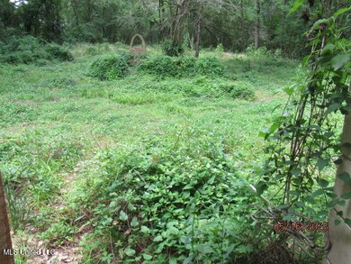 1104 McCluer Road (4)
