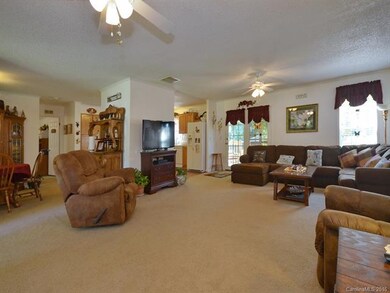 46 Edney Ln, Arden, NC 28704 - photo 7