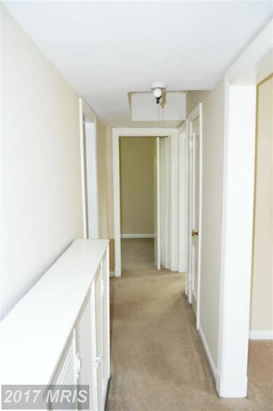 3402 Collard St, Alexandria, VA 22306 - photo 3