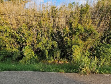 4351 County Road 945, Brazoria, TX 77422 - photo 4