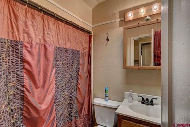 2920 E 5th Ave, Durango, CO 81301 - photo 2