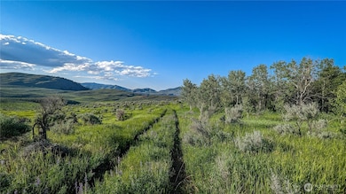 837 C Ellemeham Mountain Rd, Oroville, WA 98844 - photo 2