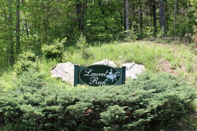 Laurel Run