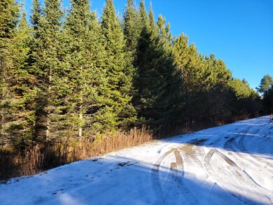 ON Cth A, Deerbrook, WI 54424 - photo 4