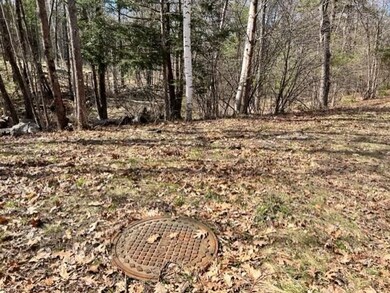 19 Bancroft Rd, Londonderry, NH 03053 - photo 7