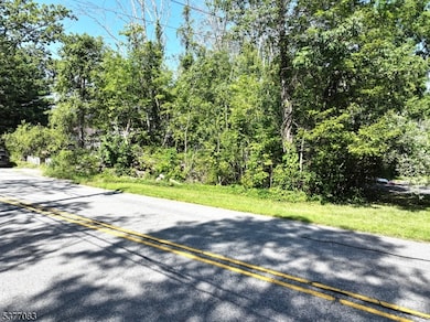 19 E Shore Lake Owassa Rd, Newton, NJ 07860 - photo 3