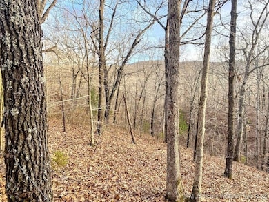 0 E 950 Rd unit 2542577, Cookson, OK 74427 - photo 5