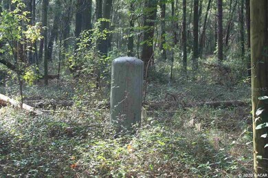 4748 SW 47th Way, Gainesville, FL 32608 - photo 5