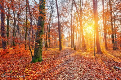 SUNSET FALL