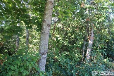 3085 W Maplewood Ave, Bellingham, WA 98225 - photo 5