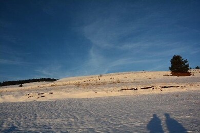 37 Lucky Ln, Columbia Falls, MT 59912 - photo 5