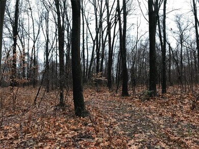 19312 Township Road 284, Coshocton, OH 43812 - photo 4