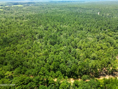 TBD Creek Run Rd, Vernon, FL 32462 - photo 5