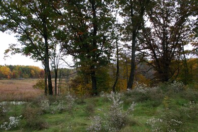 4605 E 800 N, Rolling Prairie, IN 46371 - photo 6