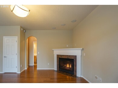Fireplace Gas