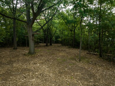 00 Red Arrow Hwy, Bridgman, MI 49106 - photo 6