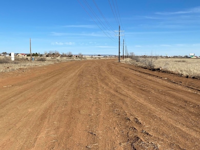 0 Otto Tr B-2-b, Moriarty, NM 87035 - photo 5
