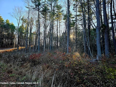 Lot 10 County Road 51, New Baltimore, NY 12124 - photo 4