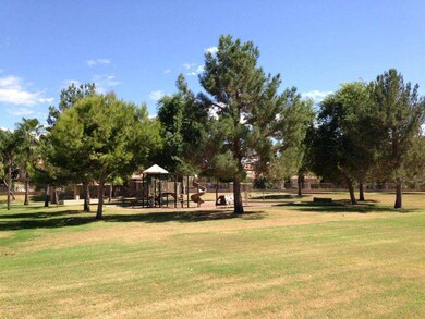 Park & Greenbelt View