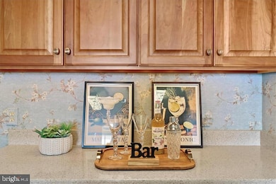 Harbor Place unit 1004, Norfolk, VA 23510 - photo 6