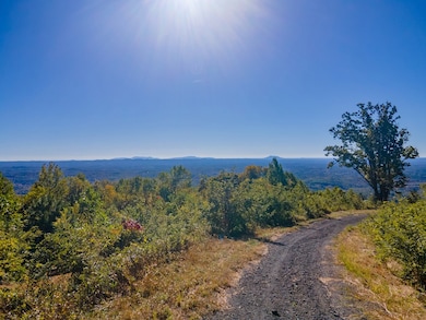 Lot 79 Spring Pond Trail, Fancy Gap, VA 24328 - photo 3