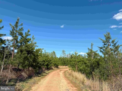 0 Cabell Lane (Tract: 5810 Thomas M Brooks) unit VABH2000204, New Canton, VA 23123 - photo 6