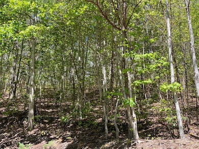 16 Diamond Pointe, Butler, TN 37640 - photo 5