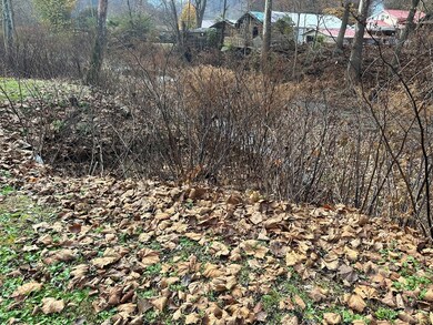 1684 Dixie Hwy, Dixie, WV 25059 - photo 3