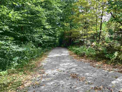 0 County Rd unit Map 2 Lot 5 4720056, Hillsborough, NH 03244 - photo 6