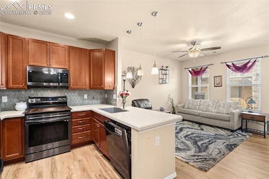 6260 Fowler Mill Point, Colorado Springs, CO 80923 - photo 5