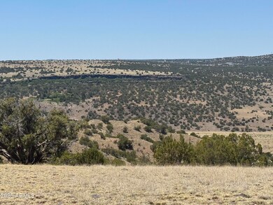 IMG_8398