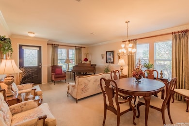 24730 Maple Crest, San Antonio, TX 78261 - photo 3