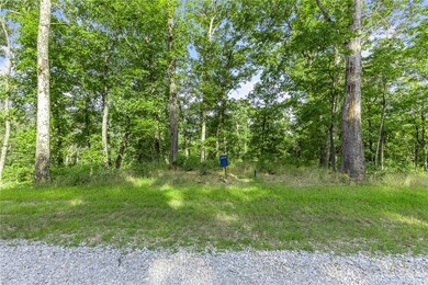 Lot 81 Restore Ridge, Harrison, AR 72601 - photo 2