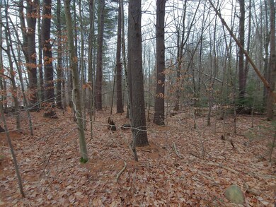 Lot 72 Holmes Rd, Barnstead, NH 03225 - photo 5