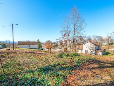 225 S Beaumont St, Asheville, NC 28801 - photo 6